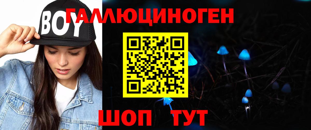 Ликино-Дулёво  Галлюциногенные грибы Psilocybine cubensis  Вход с VPN 